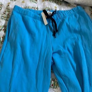 Womens pink by Victoria secret large nwt